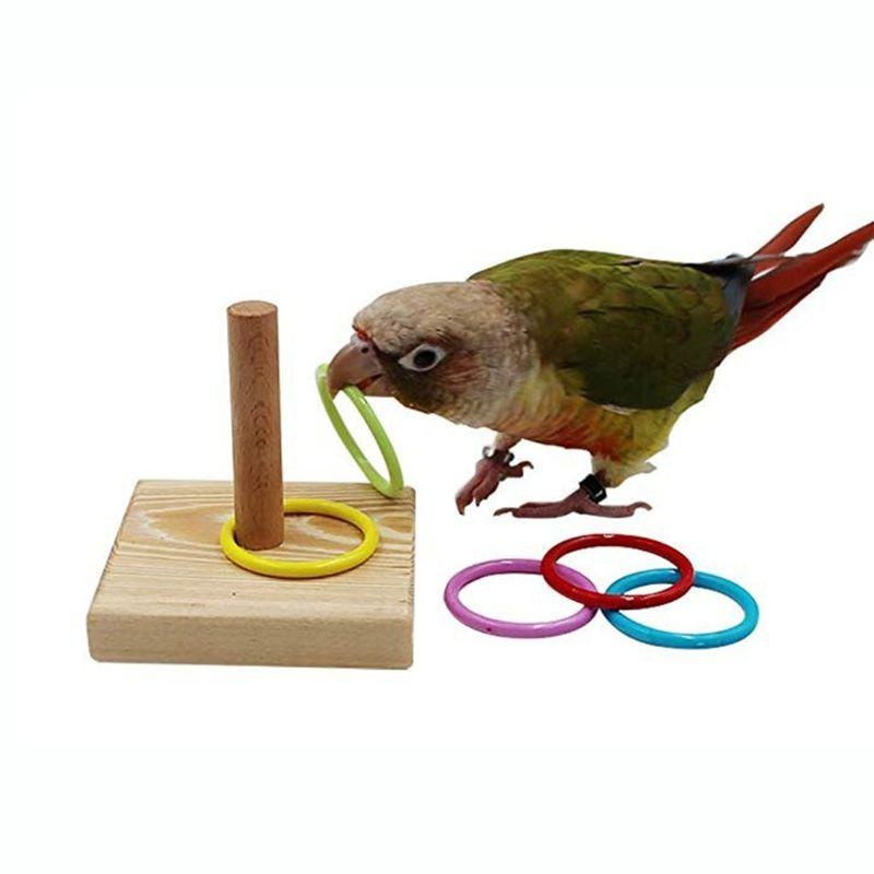 Bird Training Ring Toy Parrot  - đánh giá và giá Gymnastic Ring Wood