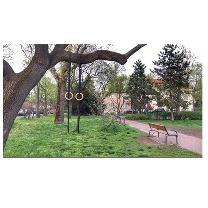 ABYM 38Mm Birch Wood Gymnastic - đánh giá và giá Gymnastic Ring Wood