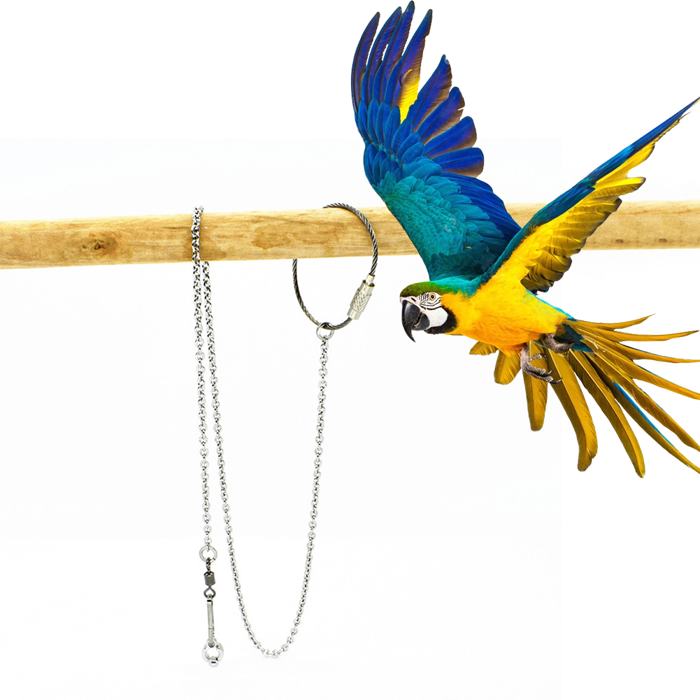 1Pcs Pet Parrot Leg Ring Ankle - đánh giá và giá Gymnastic Ring Wood