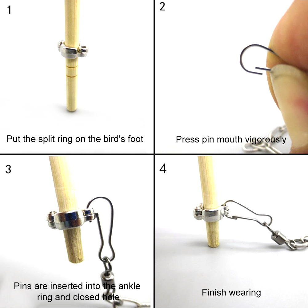 1Pcs Pet Parrot Leg Ring Ankle - đánh giá và giá Gymnastic Ring Wood